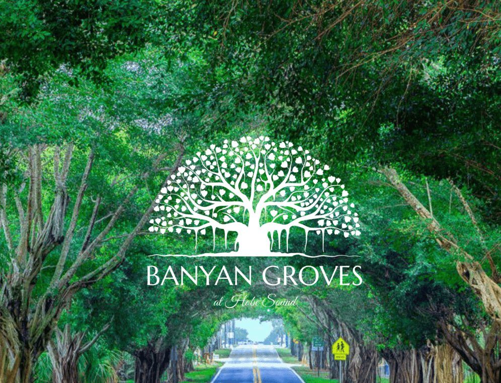Banyan Groves Brochure Cover