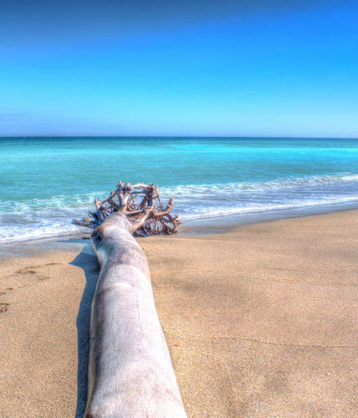 Nature preservation near Hobe Sound